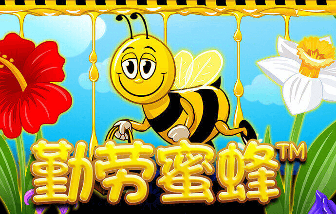 h365官方游戏平台入囗